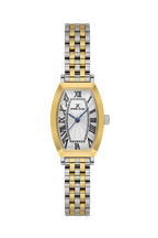 Daniel Klein Silver IP Silver/Gold Wrist Watch for Women DK.1.14165-4