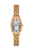 Daniel Klein Silver IP Rosegold Wrist Watch for Women DK.1.14165-5