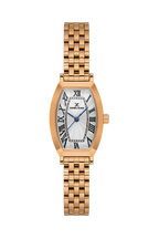 Daniel Klein Silver IP Rosegold Wrist Watch for Women DK.1.14165-5