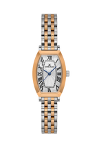 Daniel Klein Silver Pink Rosegold Wrist Watch for Women DK.1.14165-6
