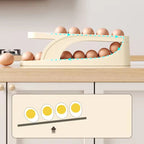 Slide-typeEgg Holder For Refrigerator