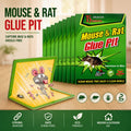 Mouse book
