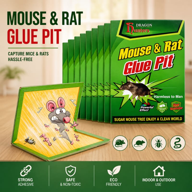 Mouse book